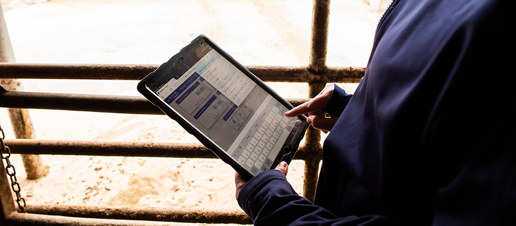Farmer viewing CHS Pay Online screen on tablet
