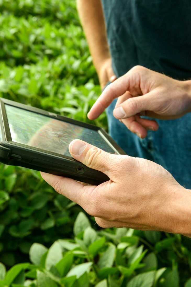 Hands holding a tablet in a field with young soybean plants
