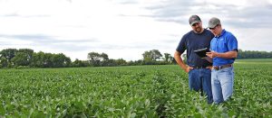Two men standing in a young soybean field looking at a tablet