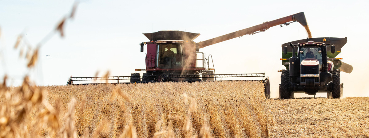 Combine harvesting a field