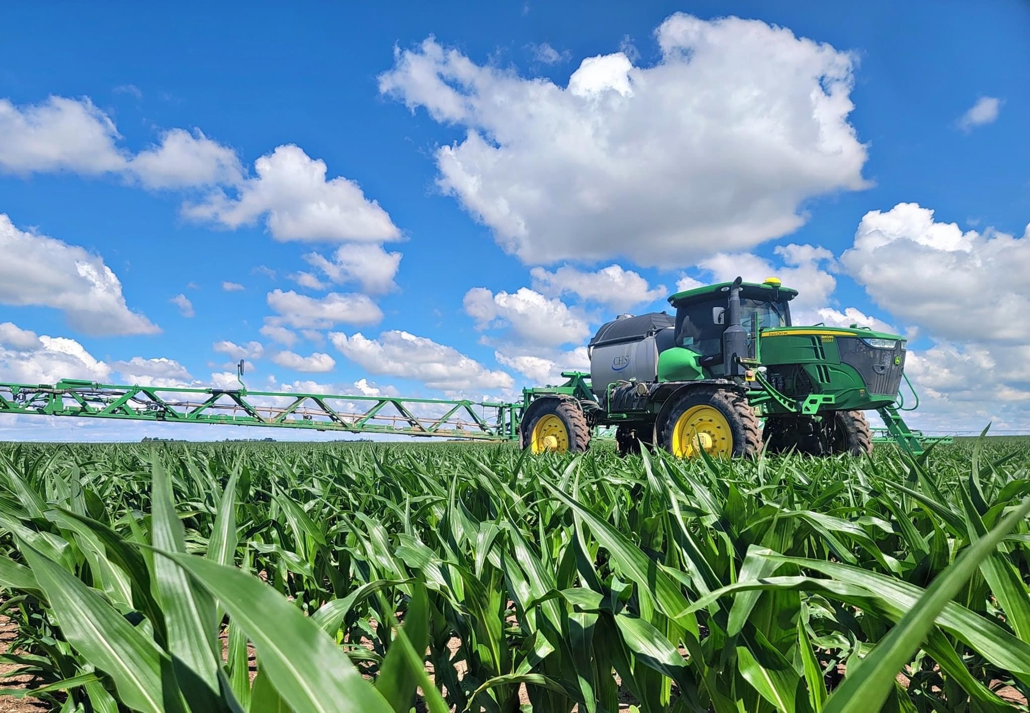 Sprayer in a corn field