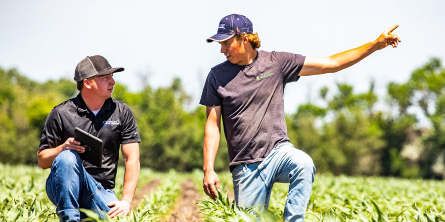 Two men kneeling in a field and talking