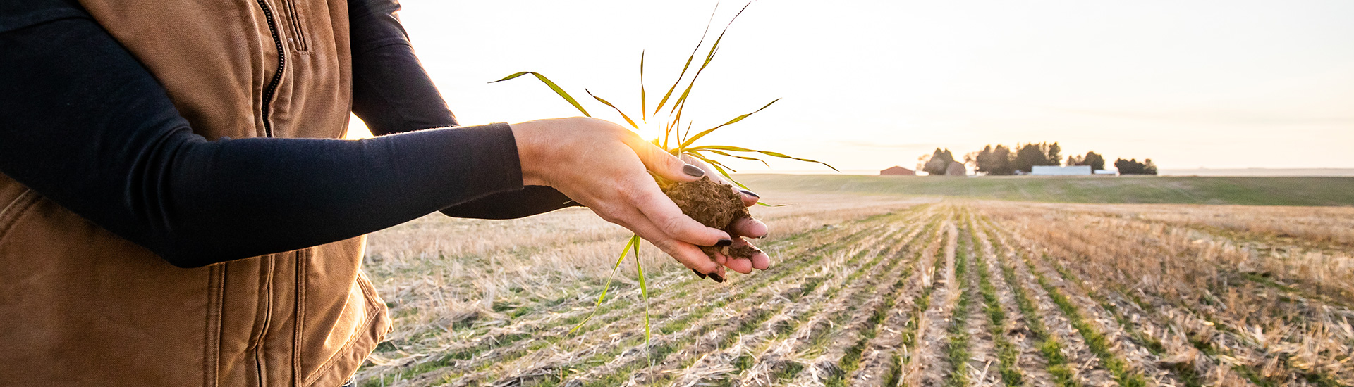 Woman holding plant in field