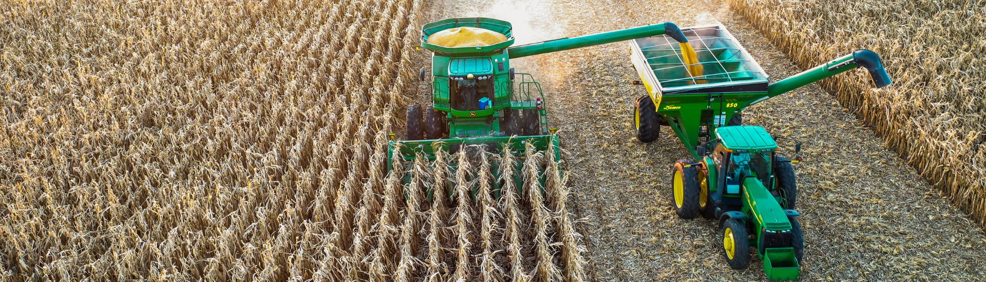 Combine and grain cart in a field