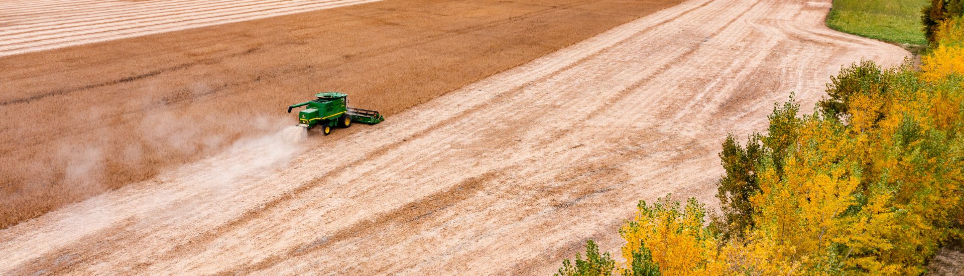 Aerial of grain harvest